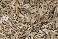 biomass boilers Forest Gate